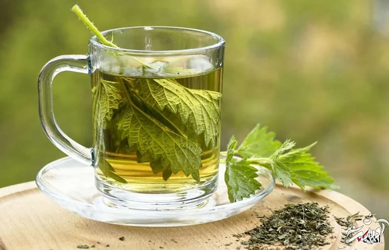 چای گزنه چای گزنه